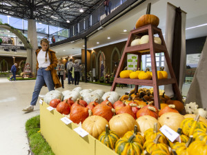 Flora Olomouc přiblížila program podzimní výstavy. Ohlédne se za československými kořeny