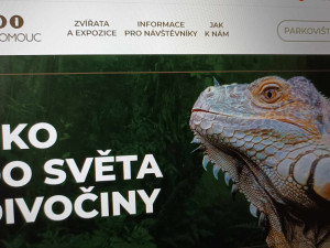 Dá se zaparkovat u zoo Olomouc? Informace jsou nyní online, zahrada má nový web